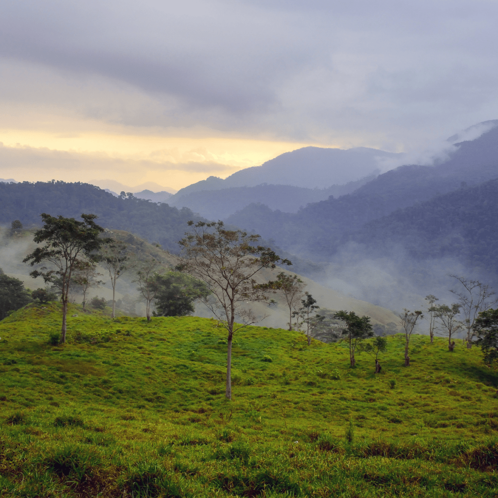 Magnifique paysage colombien